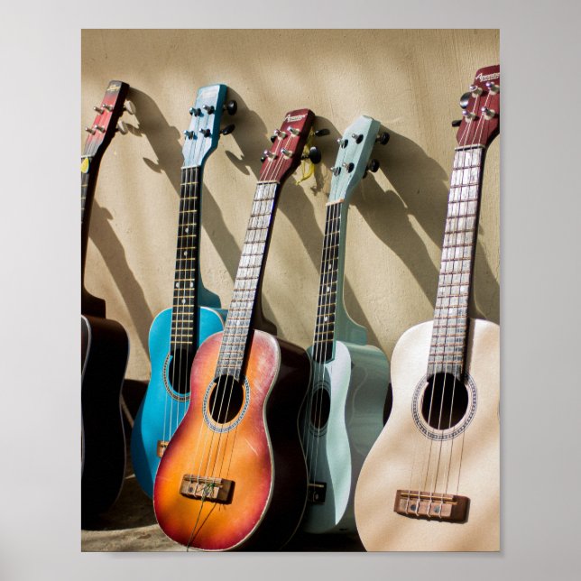 Fantastisk Acoustic Guitar Poster (Framsidan)