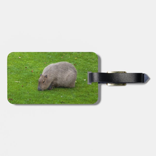 Fantastisk Animal Capybara Bagagebricka (Baksida Vågrät)