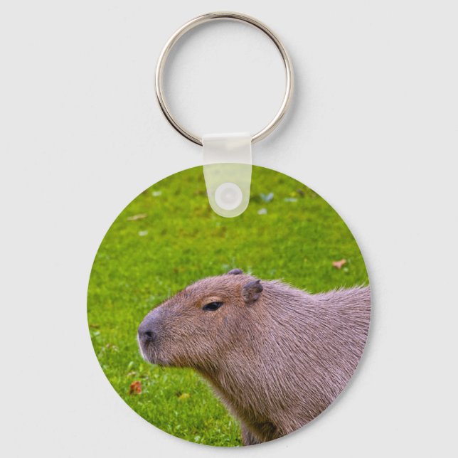 Fantastisk Animal Capybara Nyckelring (Framsida)