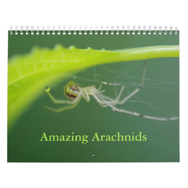 Fantastisk Arachnids Spider Calendar Kalender (Omslag)