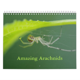 Fantastisk Arachnids Spider Calendar Kalender