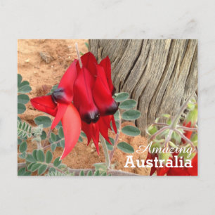 Fantastisk Australiens vykort