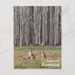 Fantastisk Australiens vykort