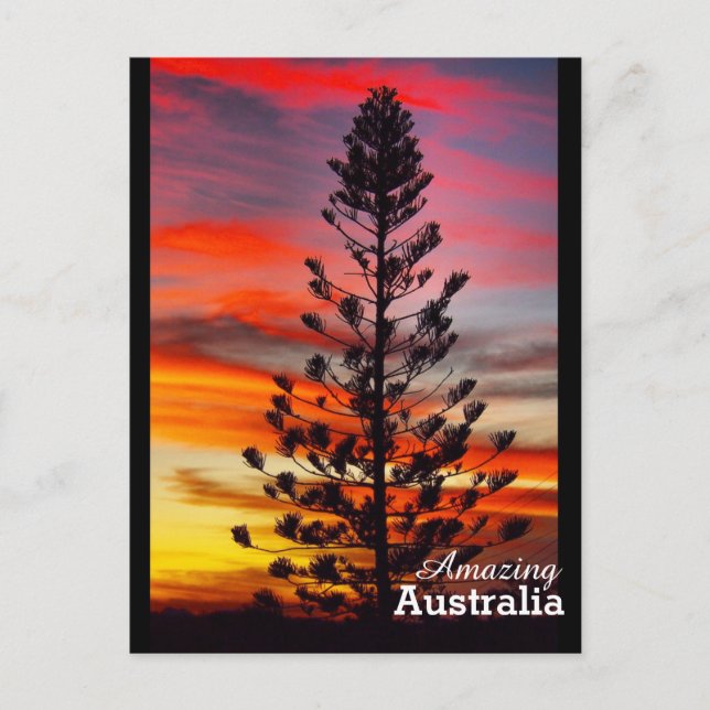 Fantastisk Australiens vykort (Framsida)