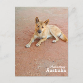 Fantastisk Australiens vykort