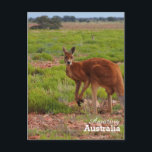 Fantastisk Australiens vykort<br><div class="desc">Visa upp det bästa av Australien med det här vackra vykortet eller användan för att skapa ditt eget vykort med ett foto av ställe som du föredrar.</div>