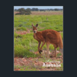 Fantastisk Australiens vykort<br><div class="desc">Visa upp det bästa av Australien med det här vackra vykortet eller användan för att skapa ditt eget vykort med ett foto av ställe som du föredrar.</div>
