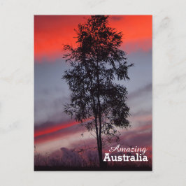 Fantastisk Australiens vykort