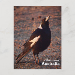 Fantastisk Australiens vykort