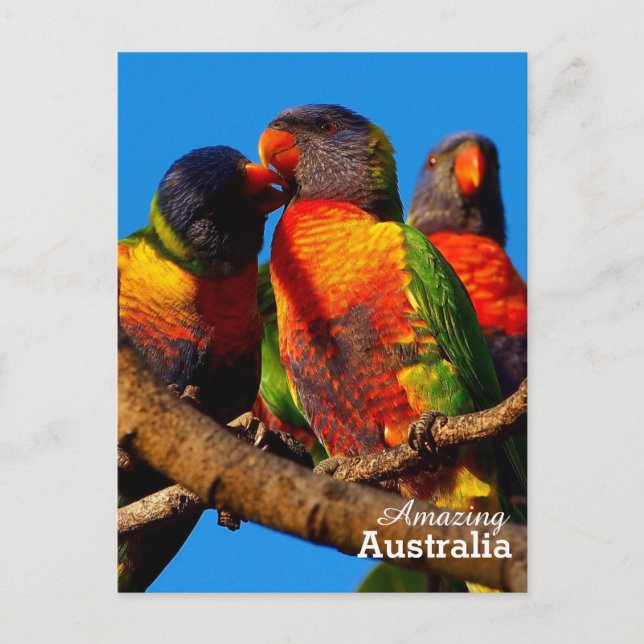 Fantastisk Australiens vykort (Framsida)