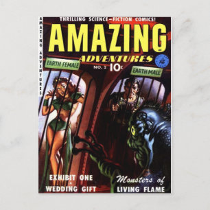 FANTASTISK ÄVENTYR 2 VYKORT