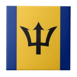 fantastisk barbados kakelplatta