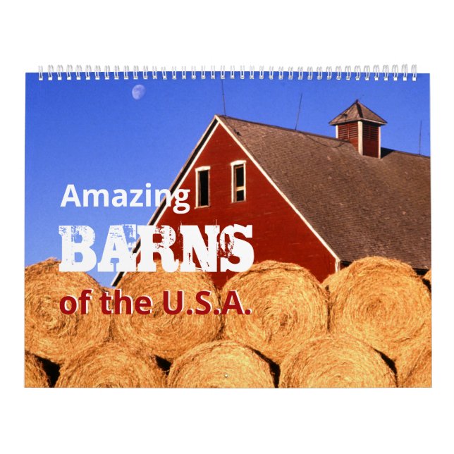 Fantastisk Barns - USA i Photos Large Wall Calenda Kalender (Omslag)