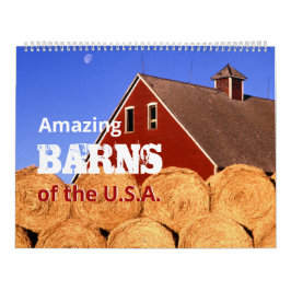 Fantastisk Barns - USA i Photos Large Wall Calenda Kalender
