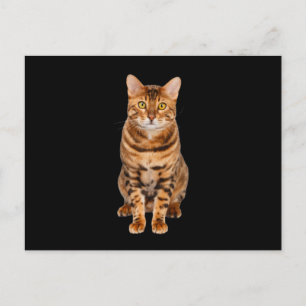 Fantastisk Bengal Kitten Vykort
