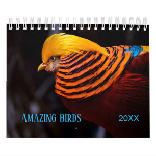 Fantastisk BIRDS-foto Kalender