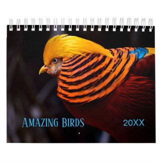 Fantastisk BIRDS-foto Kalender