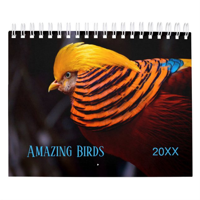 Fantastisk BIRDS-foto Kalender (Omslag)