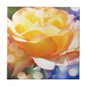 Fantastisk blomma från gul ros. Floral-fotografi. Kakelplatta