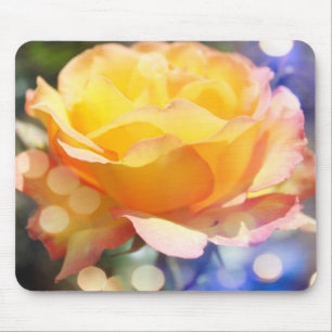 Fantastisk blomma från gul ros. Floral-fotografi. Musmatta