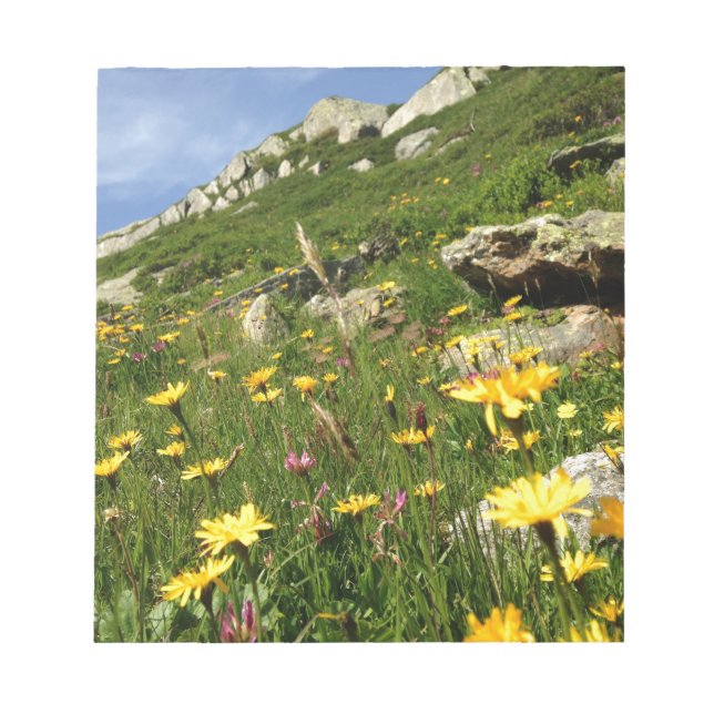 Fantastisk! Blommor i Alperna Anteckningsblock (Framsida)