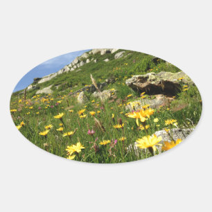 Fantastisk! Blommor i Alperna Ovalt Klistermärke