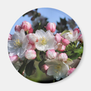 Fantastisk blomstrar blomsterfotografimagneten magnet