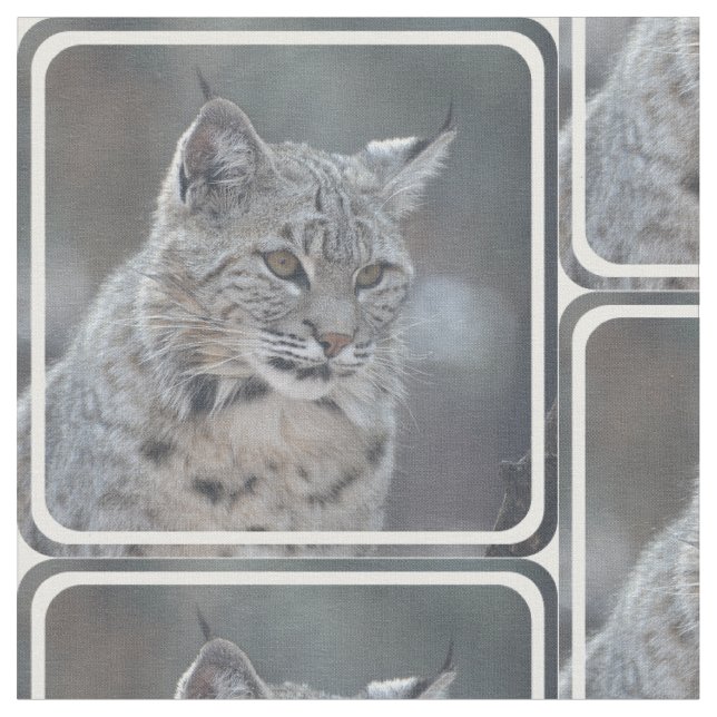 Fantastisk Bobcat Tyg (Närbild)