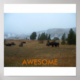 Fantastisk Buffalo Poster