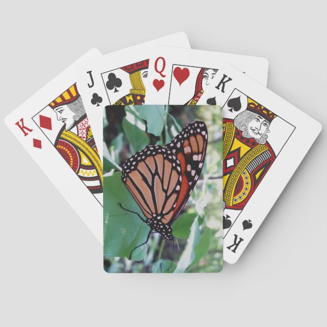 Fantastisk Butterfly Deck of Spelkort (Baksidan)
