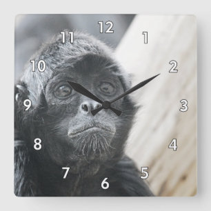 Fantastisk Close of a Spider Monkey Fyrkantig Klocka