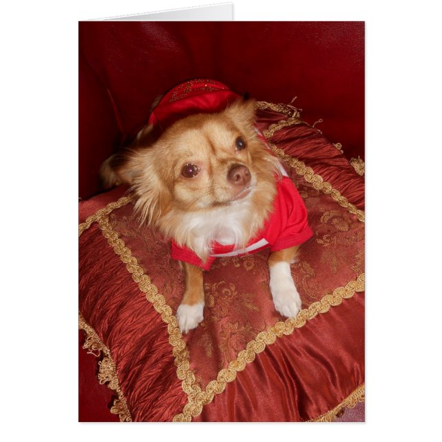 fantastisk Coco Hälsningskort (Framsidan)