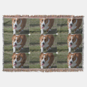 Fantastisk Corgi Filt