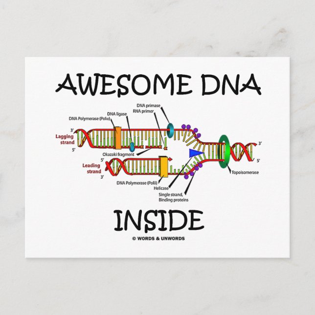 Fantastisk DNA Inside Vykort (Framsida)