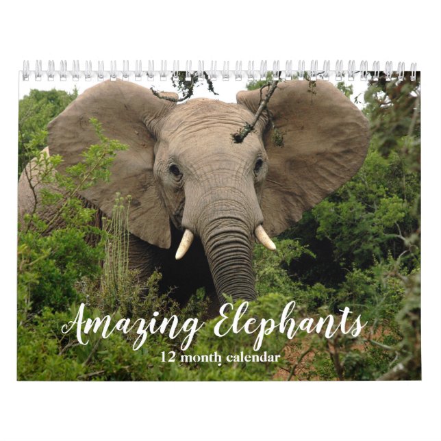 Fantastisk Elefants 2026 Kalender (Omslag)