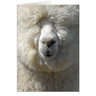 Fantastisk Gandalf alpaca OBS Kort