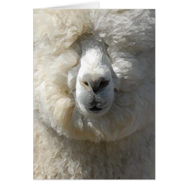 Fantastisk Gandalf alpaca OBS Kort (Framsidan)