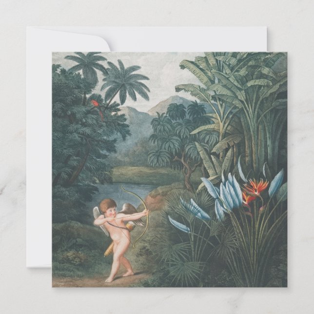 Fantastisk gelutskrift, Poster Pappra (projektions (Framsida)