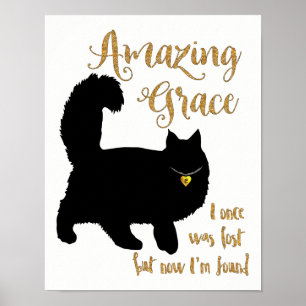 Fantastisk Grace räddade katt Poster