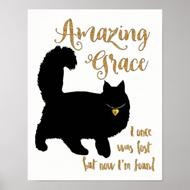 Fantastisk Grace räddade katt Poster (Framsidan)