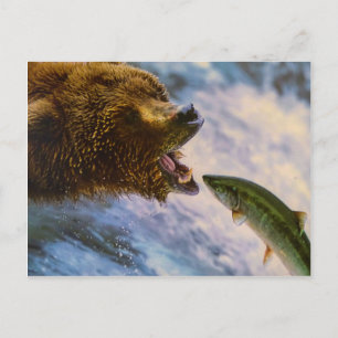 Fantastisk grizzly, bära laxbild vykort