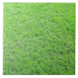 Fantastisk Grönt Grass Tile Kakelplatta