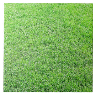 Fantastisk Grönt Grass Tile Kakelplatta