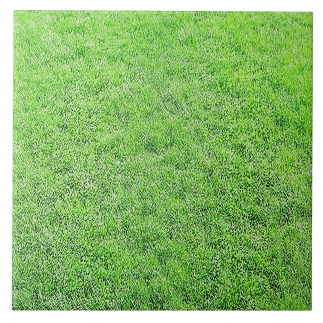 Fantastisk Grönt Grass Tile Kakelplatta (Framsidan)