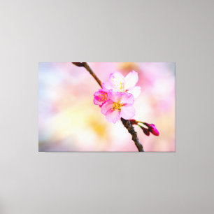 Fantastisk grupp av körsbärsblommor på våren canvastryck