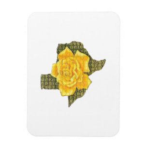 Fantastisk Gul ros i Texas Mönster blomma Magnet