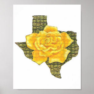 Fantastisk Gul ros i Texas Mönster blomma Poster