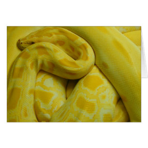Fantastisk Gult Burmese Python Hälsningskort