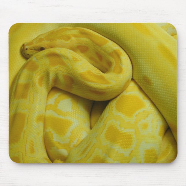 Fantastisk Gult Burmese Python Musmatta (Framsidan)