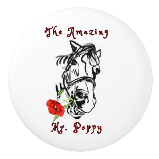 FANTASTISK HERR. PAPPY Ceramic pull Knopp (Framsidan)